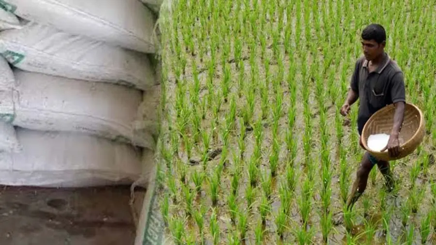 fertiliser shortage indian farmers