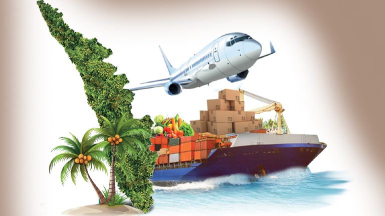 kerala agricultural exports