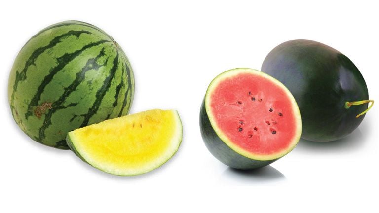 watermelon