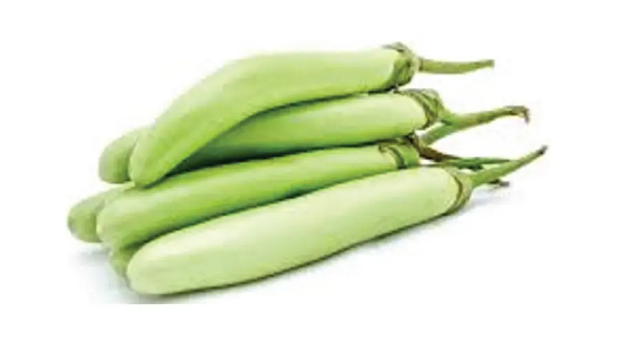 brinjal