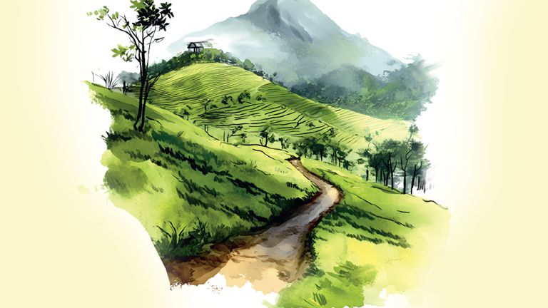 Land Assessment ldf government