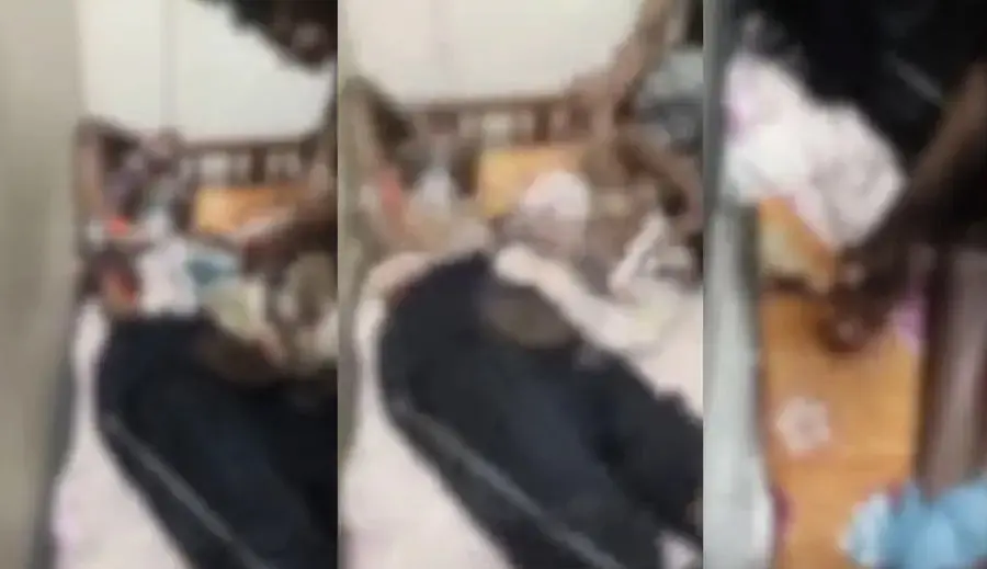 nursing college ragging