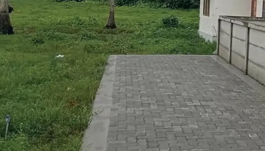 V D Satheeshan punarjani scam