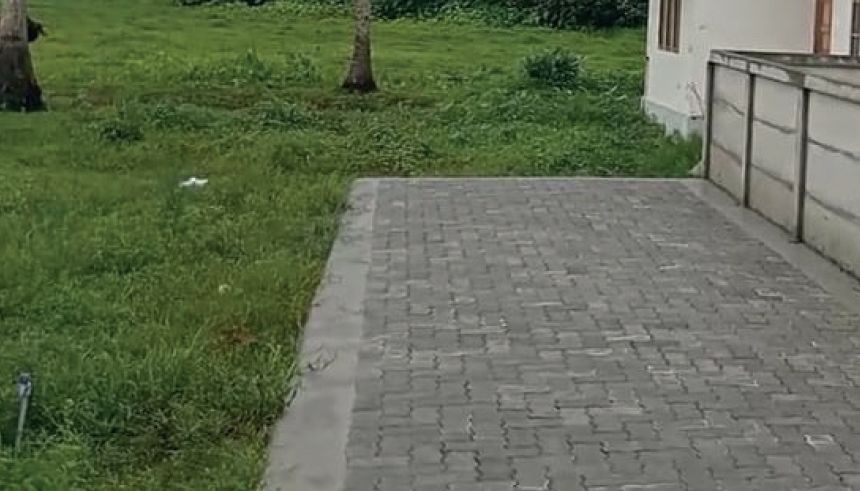 V D Satheeshan punarjani scam