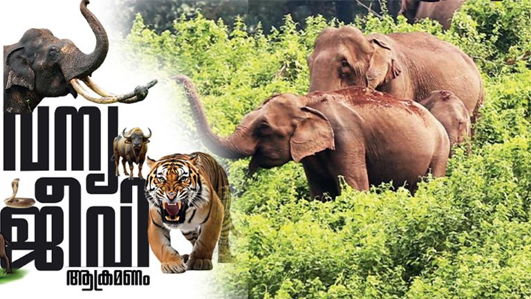 Wild Animals Encounter