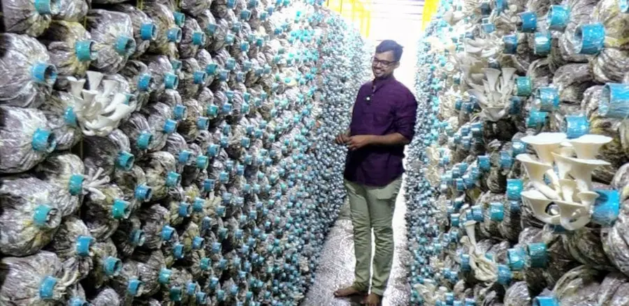 ‘ന്യൂട്രി ബഡ്സ്’ മഷ്റൂം ഫാം