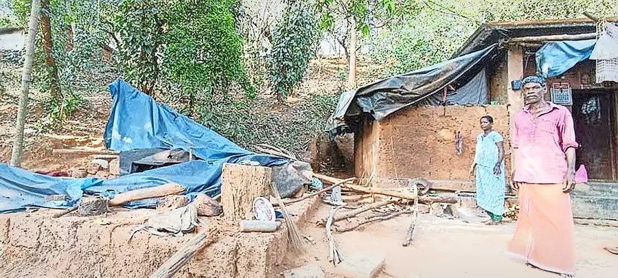 ആറളം ഫാം ബ്ലോക്ക് ഏഴിൽ കാട്ടാന തകർത്ത ഷെഡ്