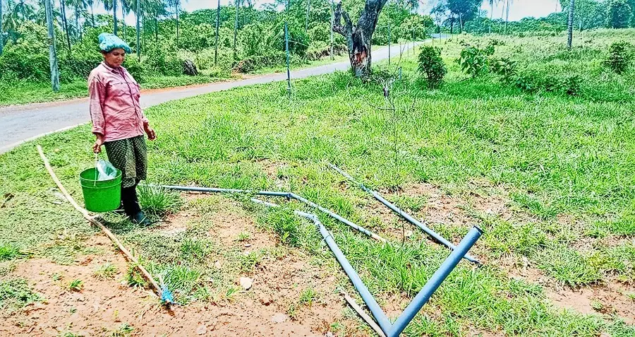 ആറളം ഫാം രണ്ടാം ബ്ലോക്കിൽ കാട്ടാന തകർത്ത വൈദ്യുതി തൂക്കുവേലി