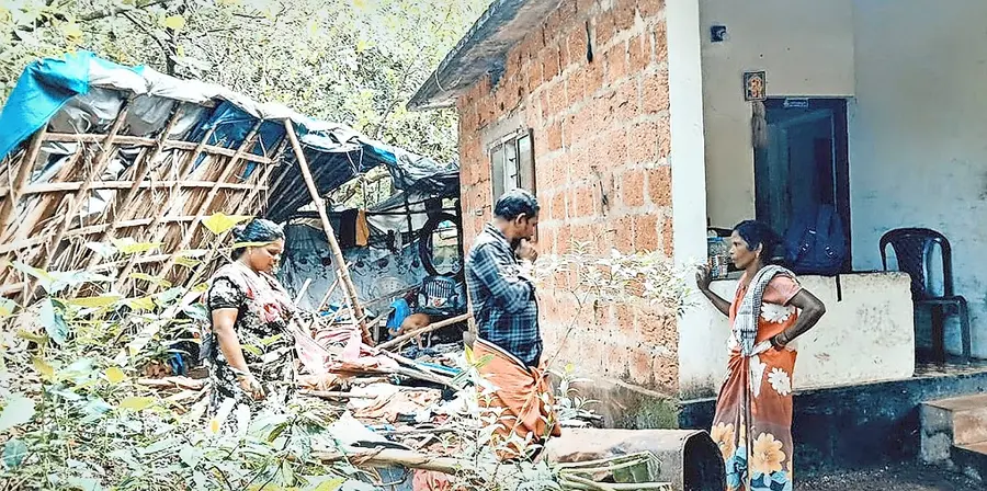 ആറളം ഫാം ബ്ലോക്ക് ഏഴിൽ ആദിവാസി കുടുംബത്തിന്റെ വീടിനോട് ചേർന്ന ഷെഡ് കാട്ടാന തകർത്ത നിലയിൽ