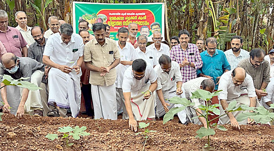  സംയോജിത കൃഷി ജനകീയ ക്യാമ്പയിൻ 2025 ഓണക്കാല പച്ചക്കറി കൃഷി ജില്ലാതല നടീൽ ഉദ്ഘാടനം ശ്രീസ്ഥയിൽ സിപിഐ എം ജില്ലാ സെക്രട്ടറി കെ കെ രാഗേഷ് നിർവഹിക്കുന്നു