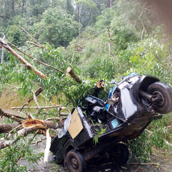 മുള്ളേരിയ ആലന്തടുക്കയിൽ മരം വീണ് തകർന്ന ഓട്ടോ