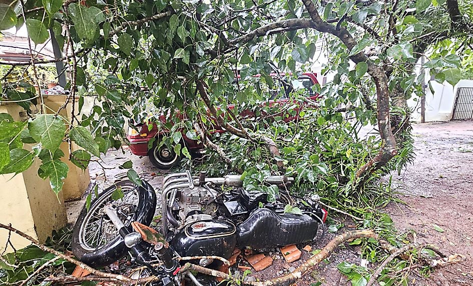 കാഞ്ഞങ്ങാട്‌   ലക്ഷ്മന​ഗർ തെരുവത്ത് മരംവീണതിനെ തുടർന്ന് തകർന്ന ബൈക്കും കാറും