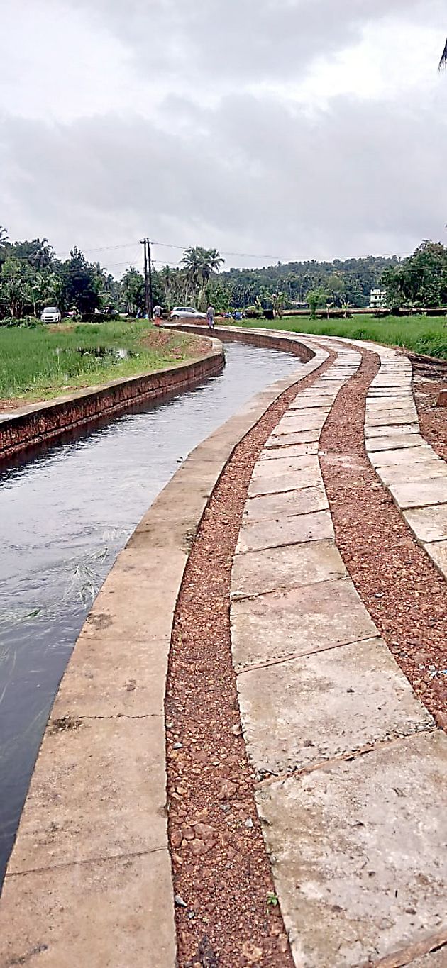 വെള്ളിക്കീൽ ഇക്കോ ടൂറിസത്തിന്റെ ഭാഗമായി  നടപ്പാതയും സൈക്കിൾ പാത്തും ഒരുക്കുന്നു