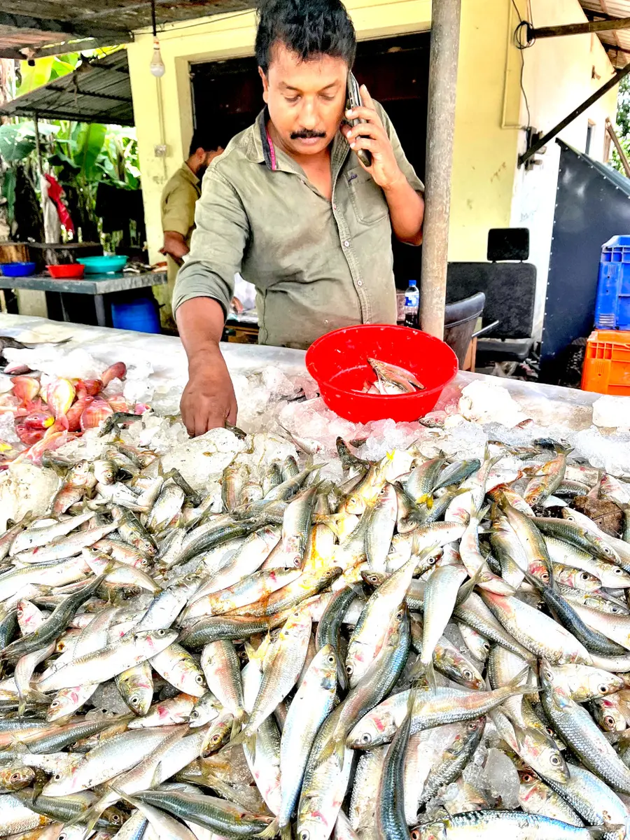 മത്സ്യവില