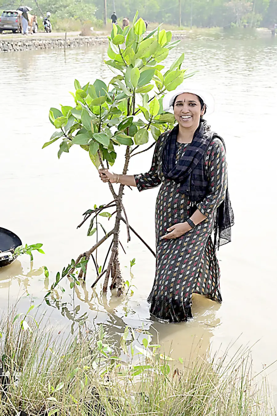 കണ്ടൽച്ചെടി പരിപാലിക്കുന്ന ഡോ. പി ശ്രീജ