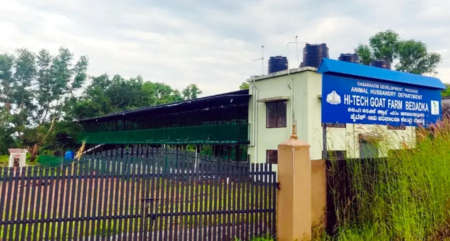 കല്ലളിയിൽ നിർമിച്ച ബേഡഡുക്ക ഗവ. ആട് ഫാം