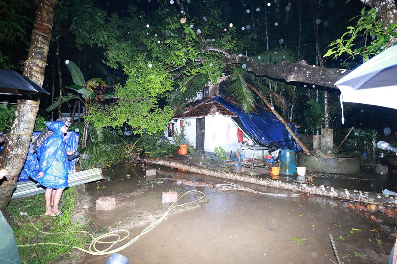 കാറ്റിലും മഴയിലും മരങ്ങൾ വീണു തകർന്ന കടലുണ്ടി കൈതവളപ്പ് പുളിക്കൽ കുനിയിൽത്തറ ഗിരിജയുടെ വീട്