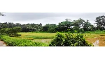 നവീകരിക്കാതെ ശോചനീയാവസ്ഥയിലായ ഉദയൻകുളം