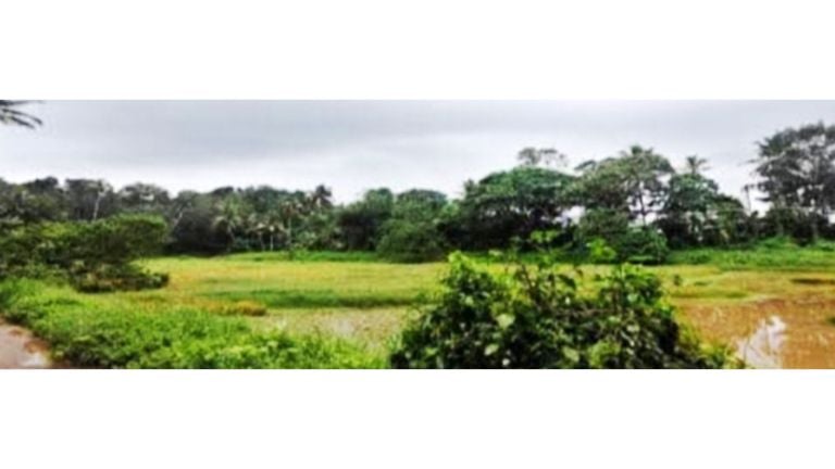 നവീകരിക്കാതെ ശോചനീയാവസ്ഥയിലായ ഉദയൻകുളം