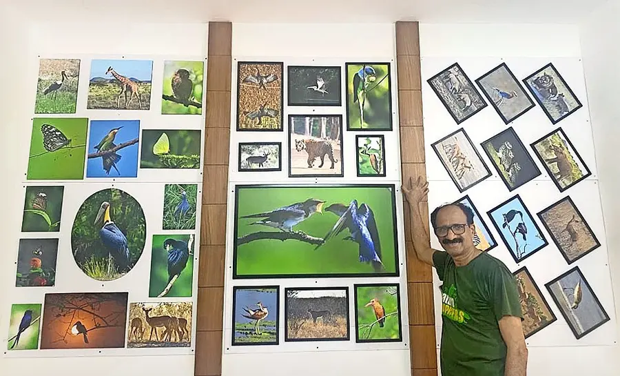 വീട്ടിലൊരുക്കിയ ഗാലറിക്കുമുന്നിൽ ഡോ. പി വി മോഹനൻ 
