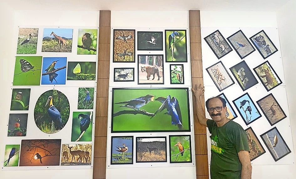 വീട്ടിലൊരുക്കിയ ഗാലറിക്കുമുന്നിൽ ഡോ. പി വി മോഹനൻ 