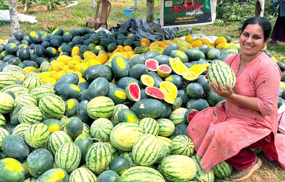തന്റെ കൃഷിയിടത്തിൽ വിളവെടുത്ത വിവിധതരം തണ്ണിമത്തൻ വിൽപനയിൽ ശ്രീവിദ്യ