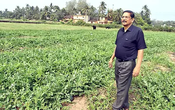 കാഞ്ഞങ്ങാട്‌ റെയിൽവേ സ്‌റ്റേഷനടുത്ത്‌ തരിശുശുഭൂമിയിൽ കൃഷിചെയ്‌ത തണ്ണിമത്തൻ കൃഷി  കുടുംബശ്രീ എക്‌സിക്യുട്ടീവ്‌ ഡയരക്ടർ എച്ച്‌ ദിനേശൻ സന്ദർശിച്ചപ്പോൾ