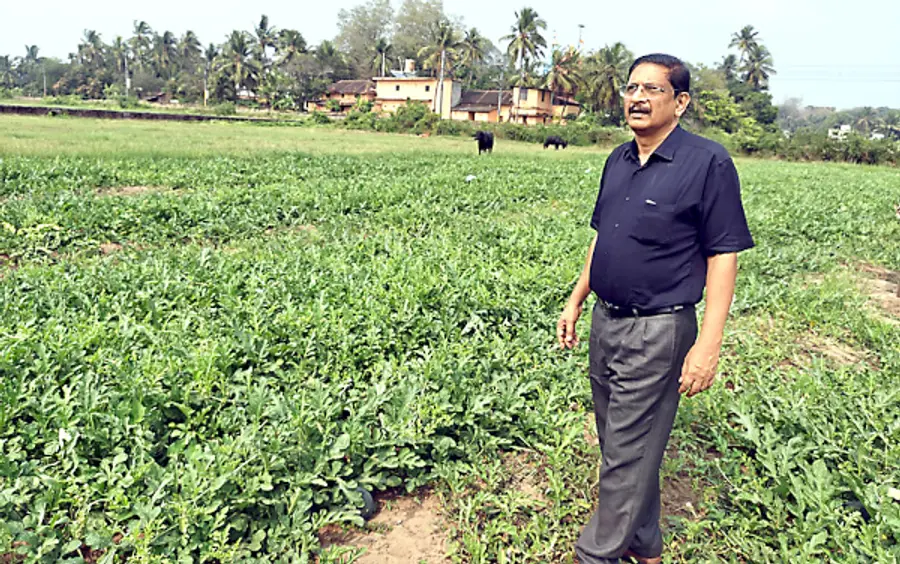 കാഞ്ഞങ്ങാട് റെയിൽവേ സ്റ്റേഷനടുത്ത് തരിശുശുഭൂമിയിൽ കൃഷിചെയ്ത തണ്ണിമത്തൻ കൃഷി കുടുംബശ്രീ എക്സിക്യുട്ടീവ് ഡയരക്ടർ എച്ച് ദിനേശൻ സന്ദർശിച്ചപ്പോൾ