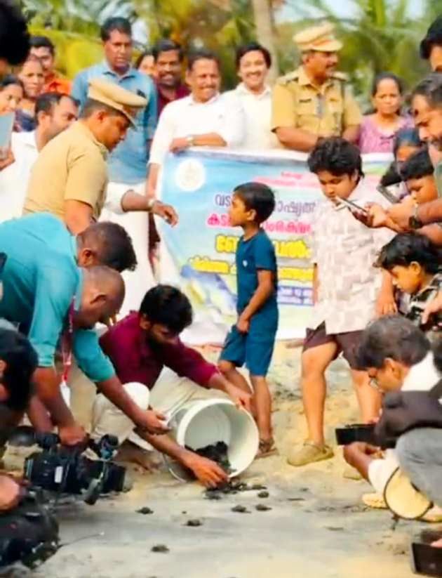 കൊളാവിപ്പാലത്ത് വിരിഞ്ഞ കടലാമക്കുഞ്ഞുങ്ങളെ കടലിലേക്ക് വിടുന്നു
