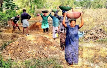 എരിക്കുളം വയലിൽ നടക്കുന്ന മണ്ണെടുപ്പ് 