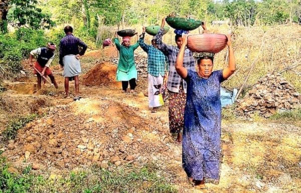 എരിക്കുളം വയലിൽ നടക്കുന്ന മണ്ണെടുപ്പ് 