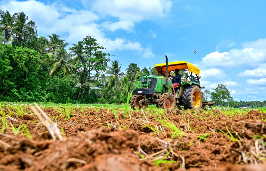 മാത്തൂർ ആനിക്കോടിൽ ഒന്നാംവിള നെൽകൃഷിക്ക് ട്രാക്ടർ ഉപയോഗിച്ച് നിലമൊരുക്കുന്നു