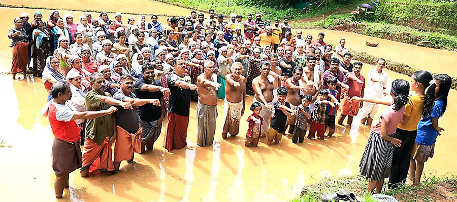 കാട്ടുകുളങ്ങര കുതിരക്കാളിയമ്മ ദേവസ്ഥാനത്തിന്റെ നേതൃത്വത്തിൽ ക്ഷേത്രവയലിൽ നെൽകൃഷിക്കിടെ  നാട്ടുകാർ ലഹരിവിരുദ്ധ പ്രതിജ്‌ഞയെടുക്കുന്നു 