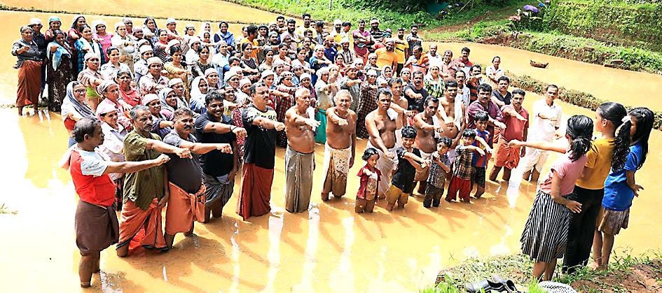 കാട്ടുകുളങ്ങര കുതിരക്കാളിയമ്മ ദേവസ്ഥാനത്തിന്റെ നേതൃത്വത്തിൽ ക്ഷേത്രവയലിൽ നെൽകൃഷിക്കിടെ  നാട്ടുകാർ ലഹരിവിരുദ്ധ പ്രതിജ്‌ഞയെടുക്കുന്നു 