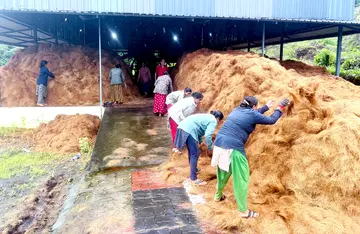 ബേഡഡുക്ക ഫാർമേഴ്‌സ് സർവീസ് സഹകരണ ബാങ്കിന്റെ ഡീ ഫൈബറിങ് യൂണിറ്റിൽ (ചകിരിമില്ല്)  തൊഴിലാളികൾ ചകിരിനാര് നിർമാണത്തിൽ 