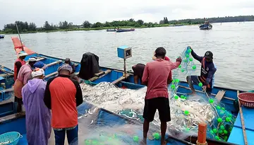 മടക്കര തുറമുഖത്ത് മീൻവള്ളം അടുത്തപ്പോൾ