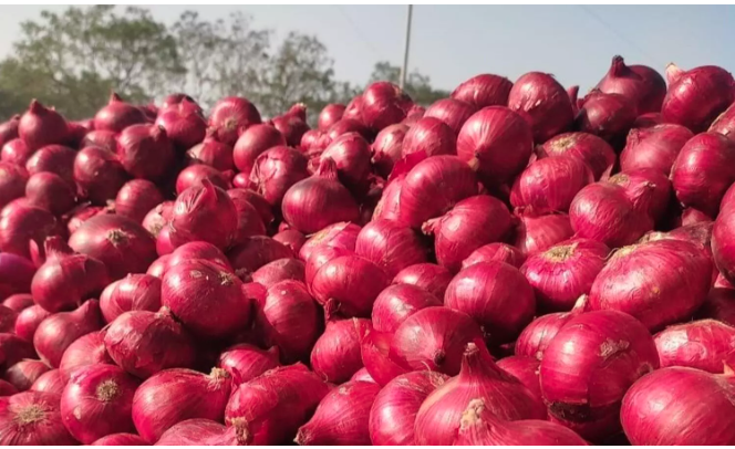 onion 