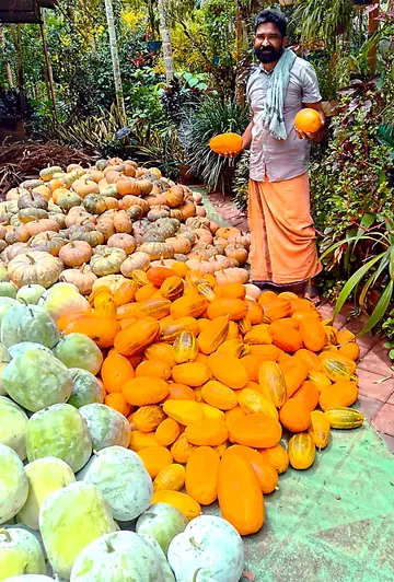 വിളവെടുത്ത പച്ചക്കറികളുമായി സാബു കാരാക്കോട്