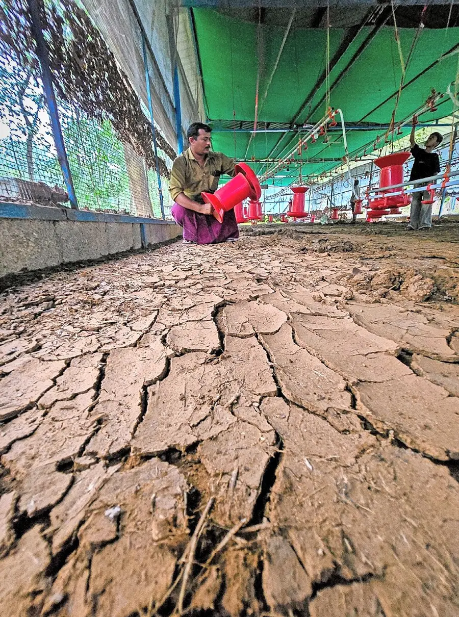 ഉരുൾപൊട്ടലിൽ തകർന്ന കോഴിഫാമിൽ അടിഞ്ഞുകൂടിയ ചെളി ഉണങ്ങി വിണ്ടുകീറിയപ്പോൾ ഫോട്ടോ: ജഗത് ലാൽ