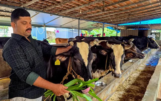 തരുൺ ദിനേശ് തന്റെ പശുഫാമിൽ