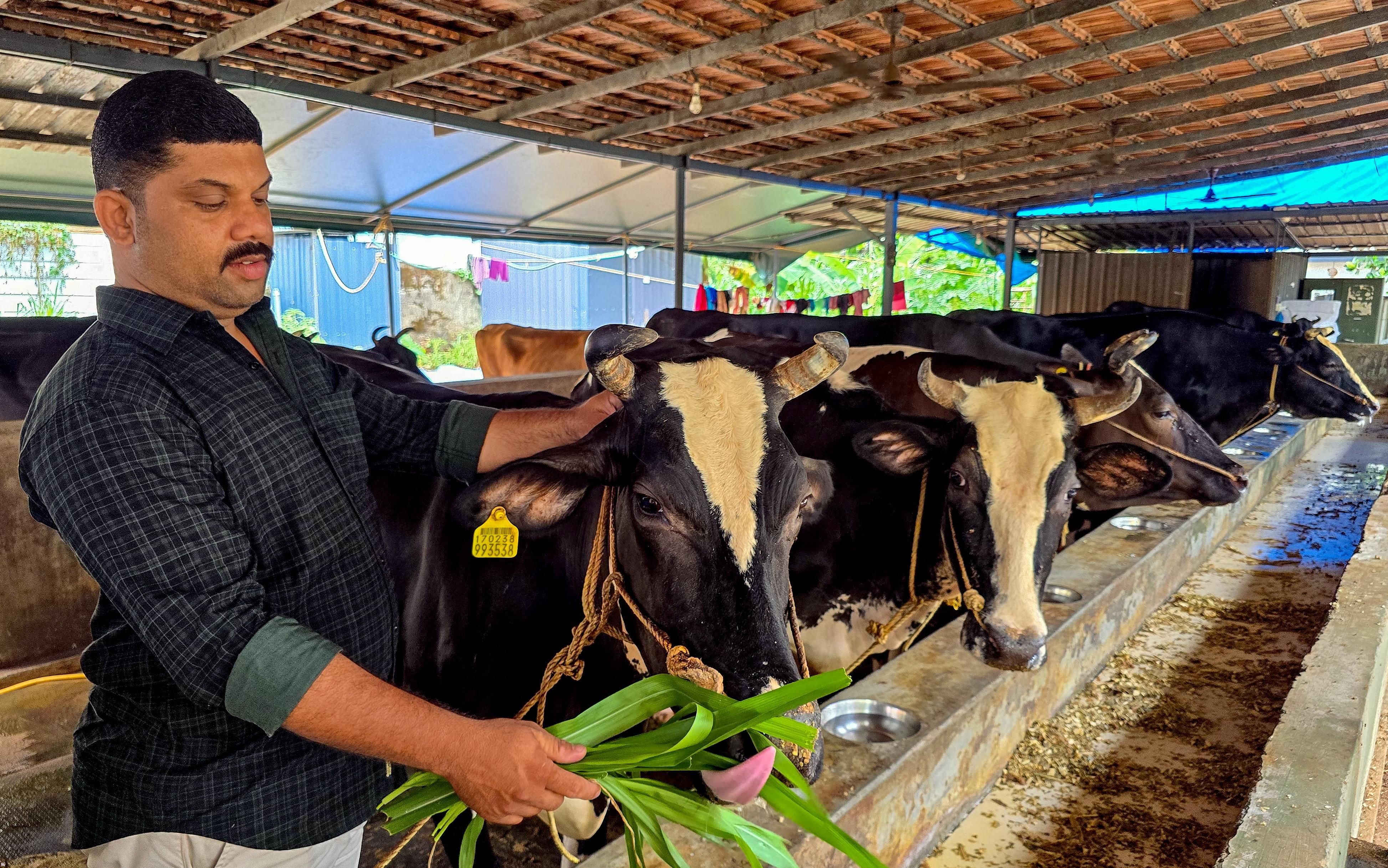 തരുൺ ദിനേശ് തന്റെ പശുഫാമിൽ