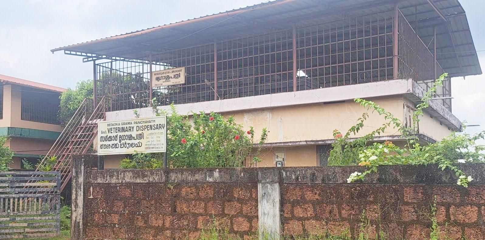 ഒരു മാസമായി ഡോക്ടറില്ലാത്ത കുണ്ടംകുഴിയിലെ സർക്കാർ മൃഗാശുപത്രി