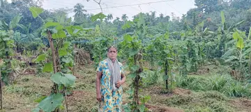 കരിന്തളം സ്വദേശിനി എം വി ശ്യാമള തന്റെ പച്ചക്കറി തോട്ടത്തിൽ