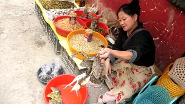 കൊഹിമയിൽ തവളകളെ വിൽക്കുന്ന സ്‌ത്രീ