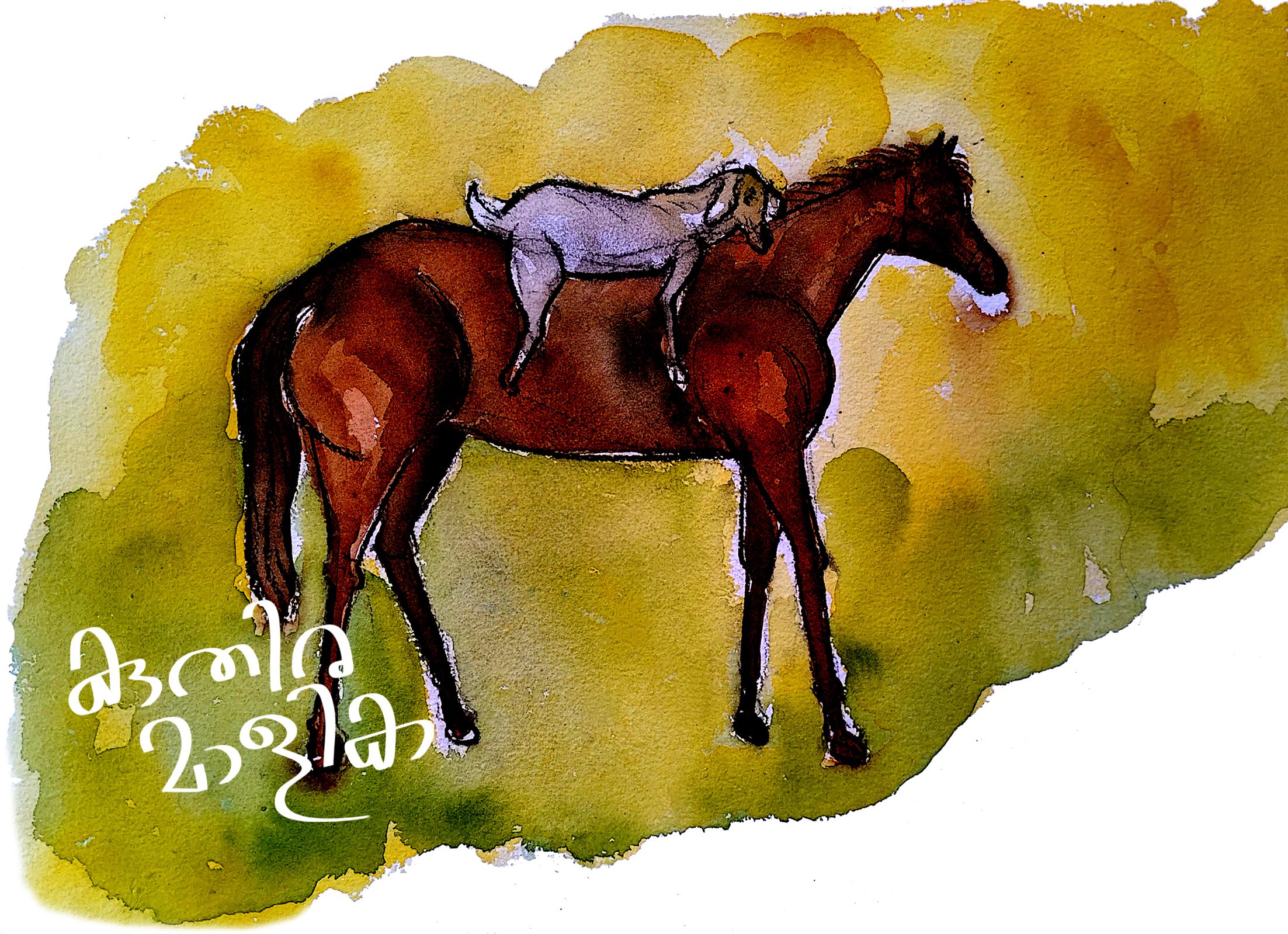 ചിത്രീകരണം: സുനിൽ അശോകപുരം