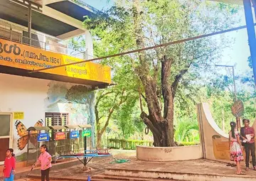 അയ്യല്ലൂർ എൽപി സ്കൂളിലെ പുളിമരം