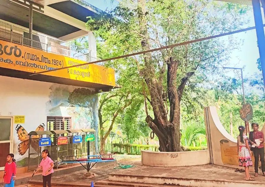 അയ്യല്ലൂർ എൽപി സ്കൂളിലെ പുളിമരം