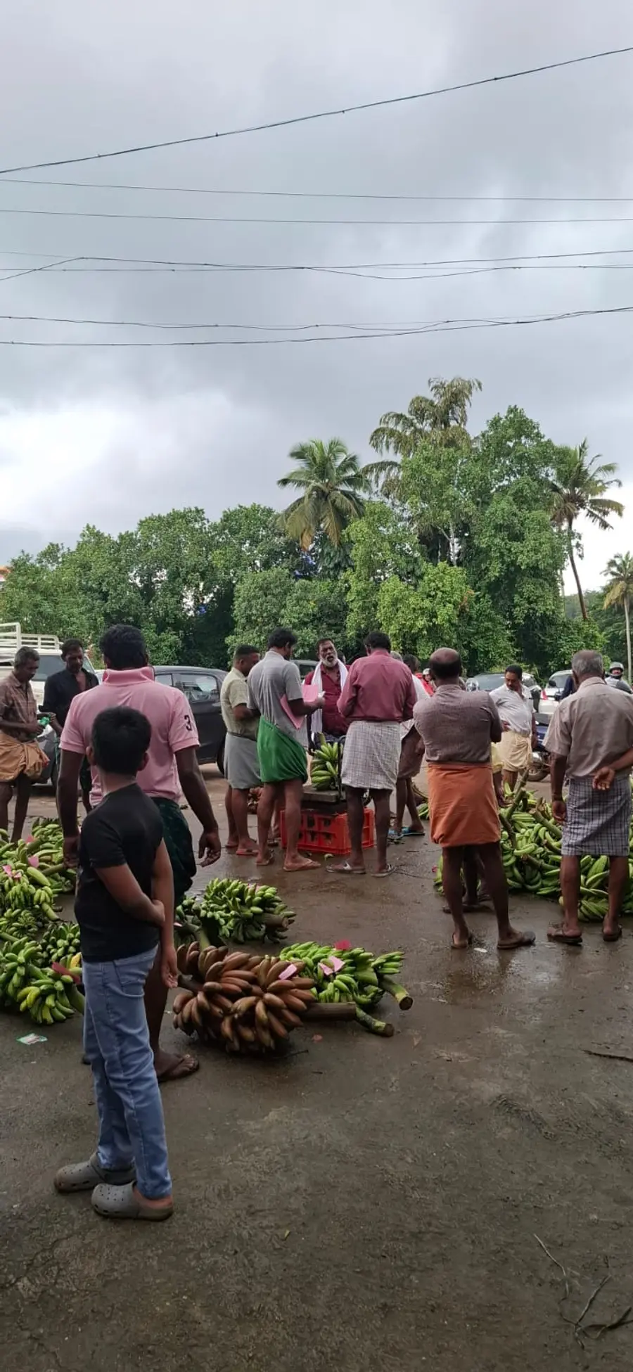 പത്തനാപുരം കല്ലുംകടവിലെ പഴവിപണി