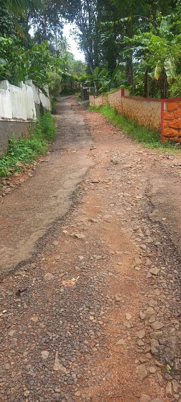 കടുവാക്കുഴി റോഡ്