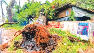 പൊന്നൂക്കരയിൽ മരം കടപുഴകി വീണ് തകർന്ന വീട്